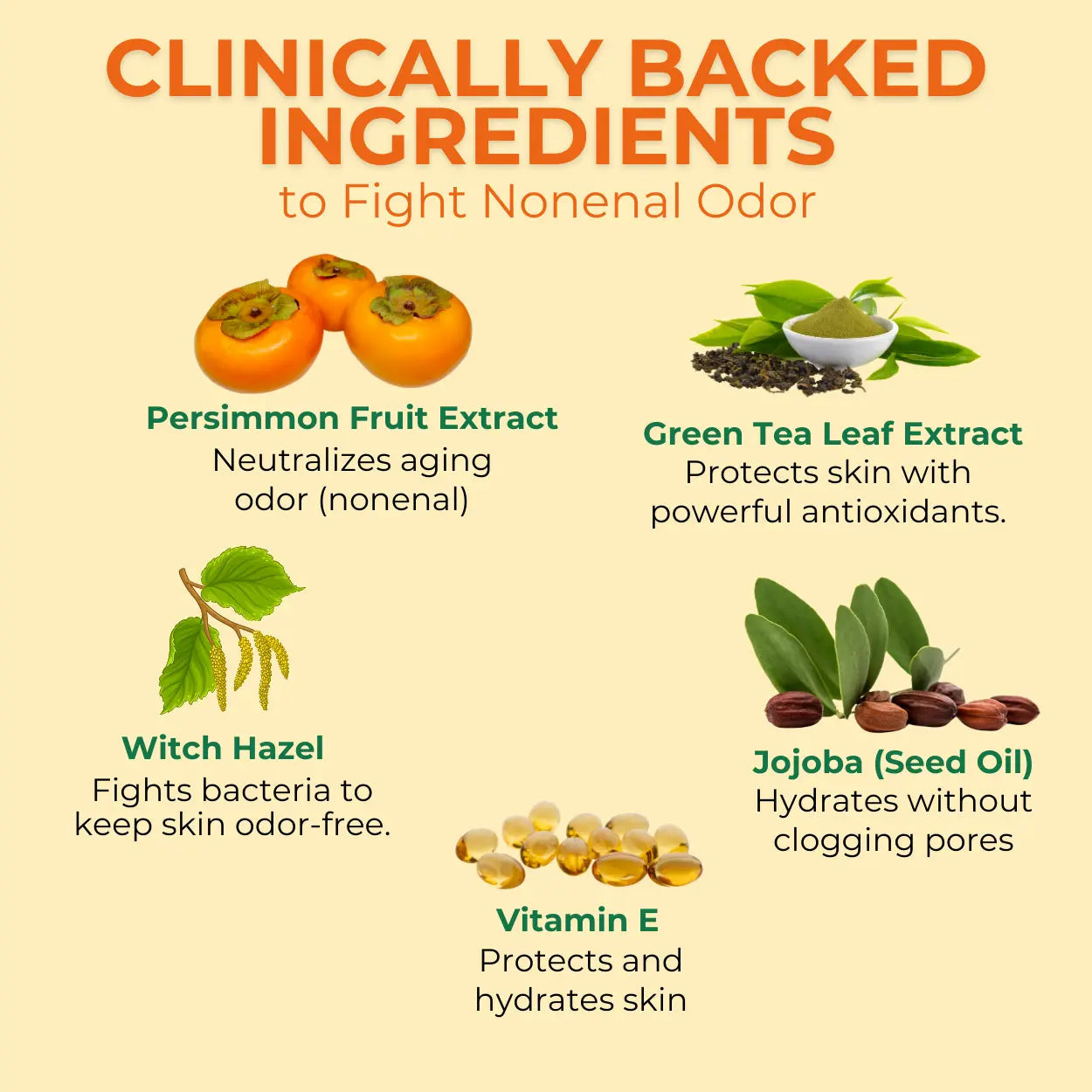 Persimmon Body Wash